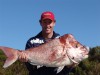 12kg pinky caught SW  W.A